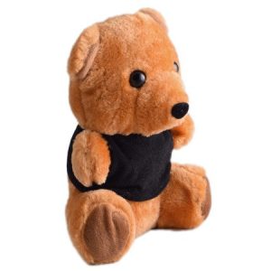 Teddy Plush Toy